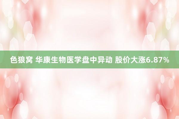 色狼窝 华康生物医学盘中异动 股价大涨6.87%