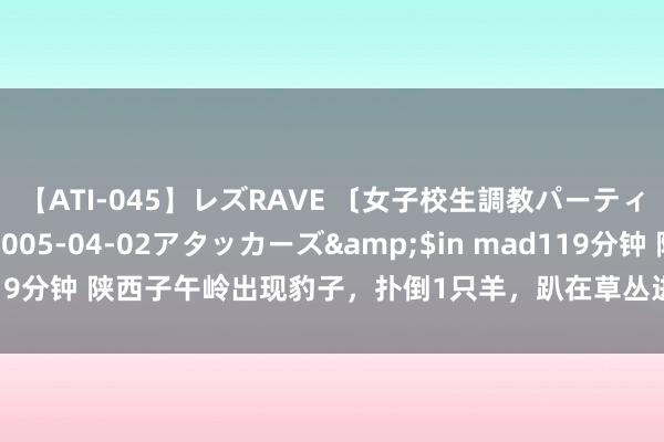 【ATI-045】レズRAVE 〔女子校生調教パーティー〕</a>2005-04-02アタッカーズ&$in mad119分钟 陕西子午岭出现豹子，扑倒1只羊，趴在草丛进食，村民赶皆赶不走