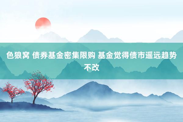 色狼窝 债券基金密集限购 基金觉得债市遥远趋势不改