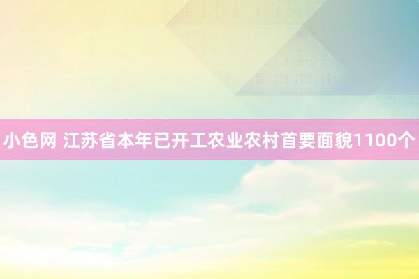 小色网 江苏省本年已开工农业农村首要面貌1100个