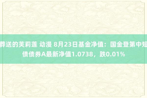葬送的芙莉莲 动漫 8月23日基金净值：国金登第中短债债券A最新净值1.0738，跌0.01%
