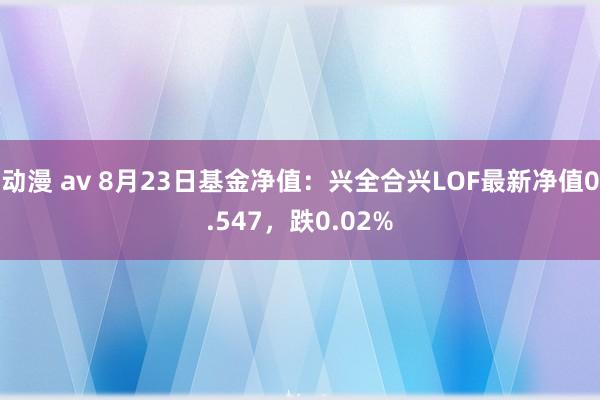 动漫 av 8月23日基金净值：兴全合兴LOF最新净值0.547，跌0.02%
