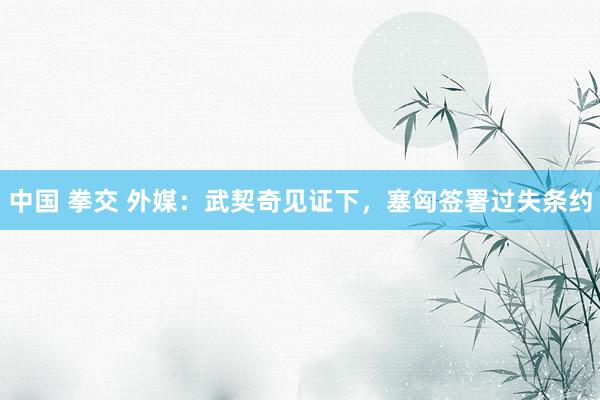 中国 拳交 外媒：武契奇见证下，塞匈签署过失条约