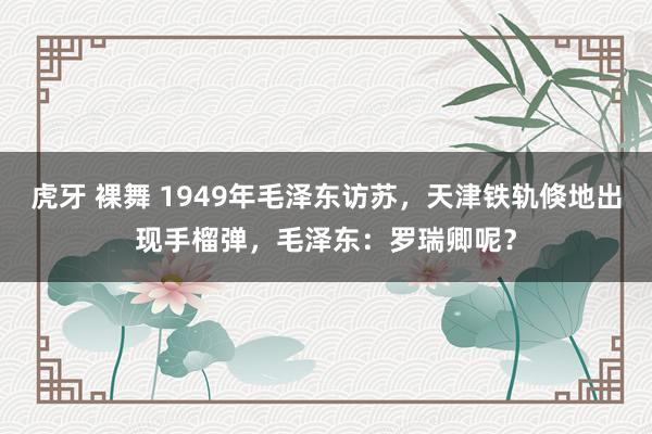 虎牙 裸舞 1949年毛泽东访苏，天津铁轨倏地出现手榴弹，毛泽东：罗瑞卿呢？