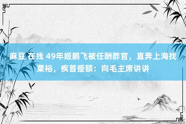 麻豆 在线 49年姬鹏飞被任酬酢官，直奔上海找粟裕，疾首蹙额