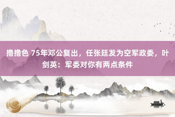 撸撸色 75年邓公复出，任张廷发为空军政委，叶剑英：军委对你