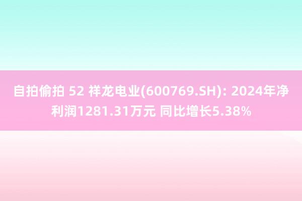 自拍偷拍 52 祥龙电业(600769.SH): 2024年