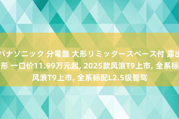 パナソニック 分電盤 大形リミッタースペース付 露出・半埋込
