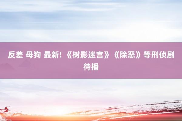 反差 母狗 最新! 《树影迷宫》《除恶》等刑侦剧待播