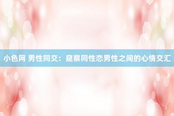小色网 男性同交：窥察同性恋男性之间的心情交汇