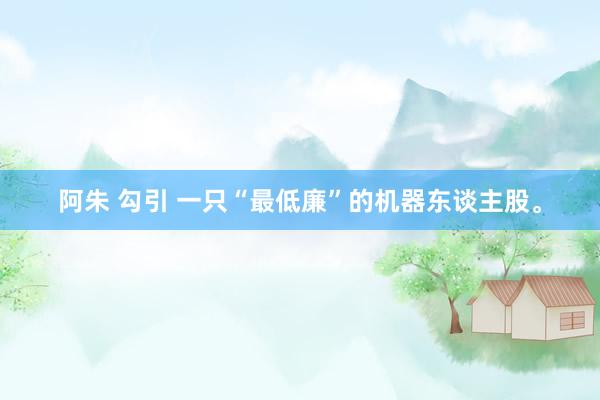阿朱 勾引 一只“最低廉”的机器东谈主股。