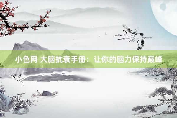 小色网 大脑抗衰手册：让你的脑力保持巅峰