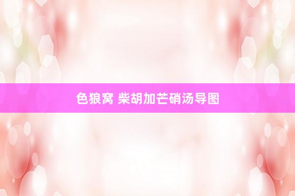 色狼窝 柴胡加芒硝汤导图