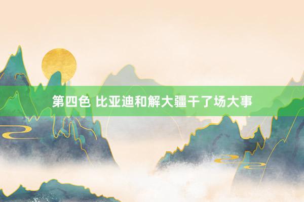 第四色 比亚迪和解大疆干了场大事