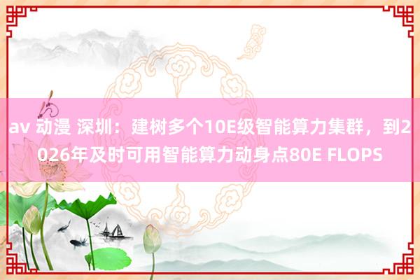 av 动漫 深圳：建树多个10E级智能算力集群，到2026年