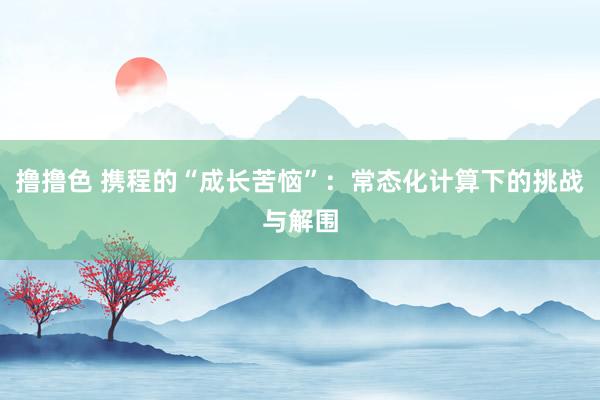 撸撸色 携程的“成长苦恼”：常态化计算下的挑战与解围